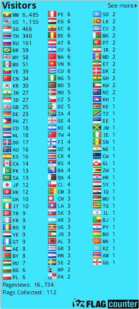 Flag Counter