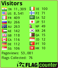 Flag Counter