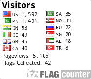 Flag Counter
