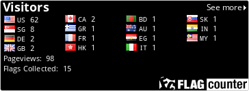 Flag Counter