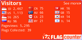 Flag Counter