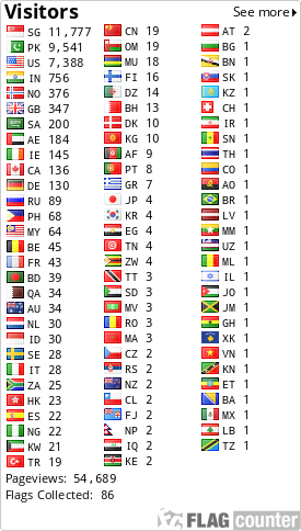 Flag Counter