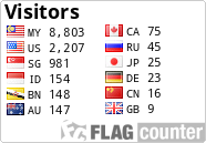 Flag Counter