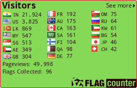 Flag Counter