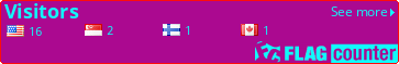 Flag Counter