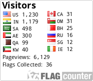 Flag Counter