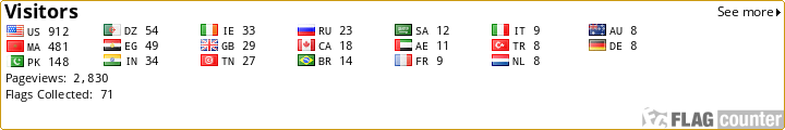 Flag Counter