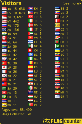 Flag Counter