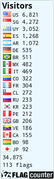 Flag Counter