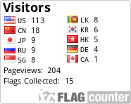 Flag Counter