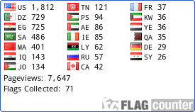 Flag Counter