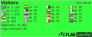 Flag Counter