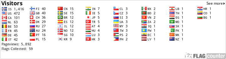 Flag Counter