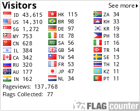 Flag Counter