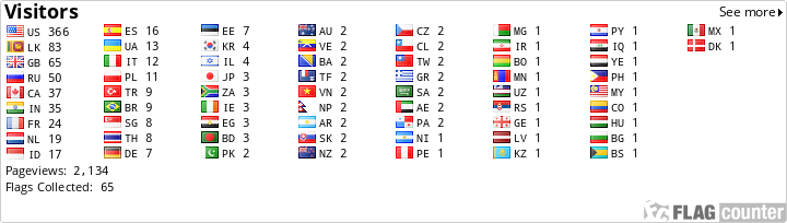 Flag Counter
