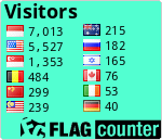 Flag Counter