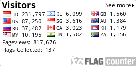 Flag Counter