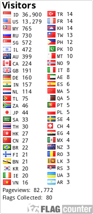Flag Counter