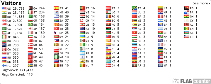 Flag Counter