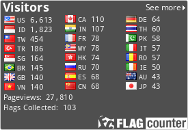 Flag Counter
