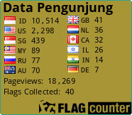 Flag Counter
