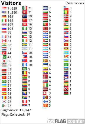 Flag Counter