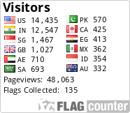 Flag Counter