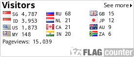 Flag Counter