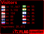 Flag Counter