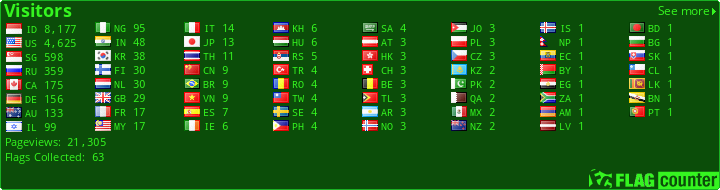 Flag Counter