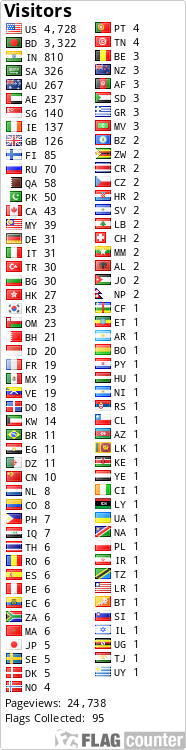 Flag Counter