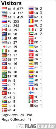 Flag Counter