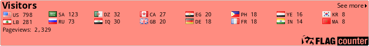 Flag Counter