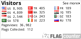 Flag Counter