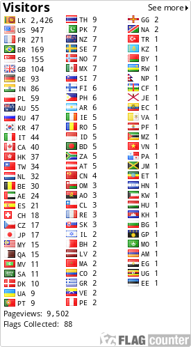 Flag Counter