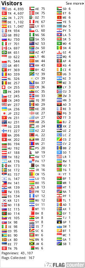 Flag Counter