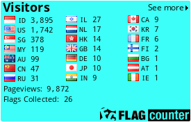 Flag Counter