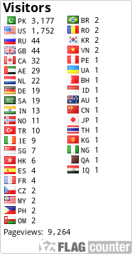 Flag Counter