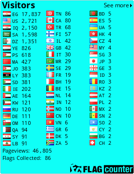 Flag Counter