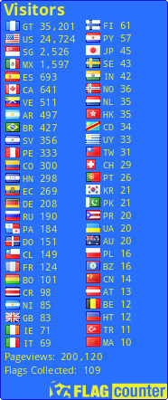 Flag Counter