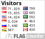 Flag Counter