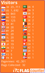 Flag Counter