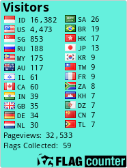 Flag Counter