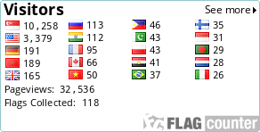 Flag Counter