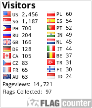 Flag Counter