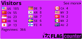 Flag Counter
