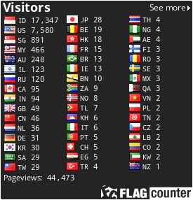 Flag Counter