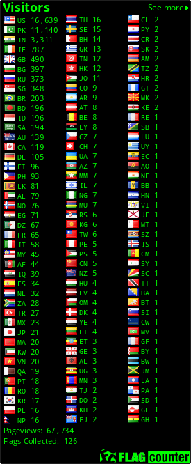 Flag Counter