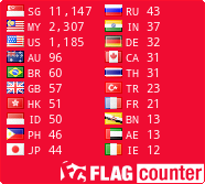 Flag Counter