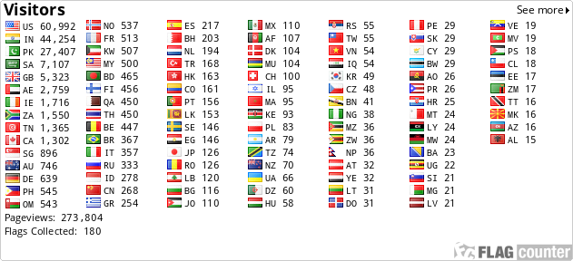 Flag Counter